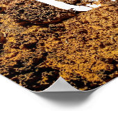 Don't Bust the Crust-Cryptobiotic Soil Poster (Hoek)