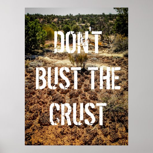 Don't Bust the Crust-Cryptobiotic Soil Poster (Voorkant)