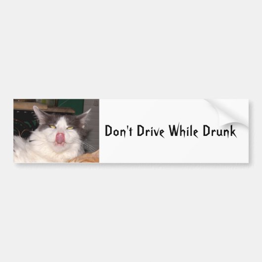 Dont drive drink Funny cat Bumpersticker (Voorkant)
