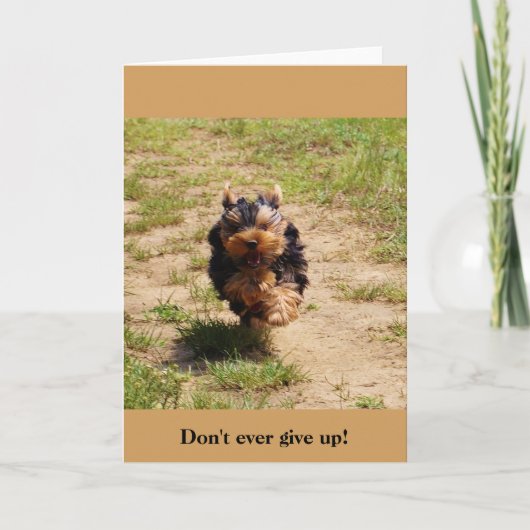 Don't ever up! greeting card kaart (Voorkant)