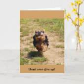 Don't ever up! greeting card kaart (Gele Bloem)
