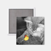 'Don't Feed the Cat' Rubberen eendenmagneet Magneet (Voorkant / Achterkant)