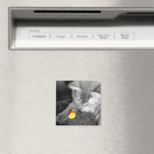 'Don't Feed the Cat' Rubberen eendenmagneet Magneet (Insitu (Vaatwasser))