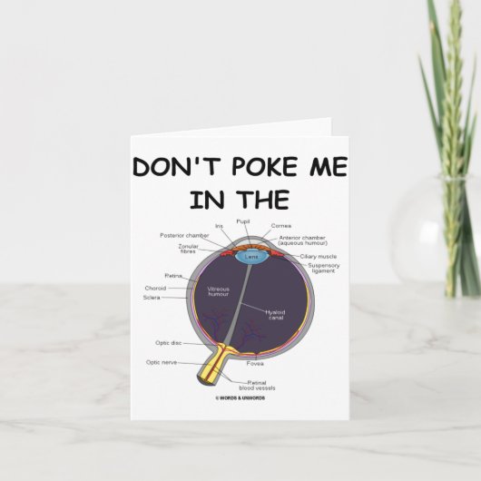 Dont Ke Me In The Eye Eye Anatomy Attitude  Kaart (Voorkant)