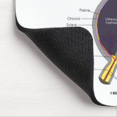 Dont Ke Me In The Eye Eye Anatomy Attitude  Muismat (Hoek)