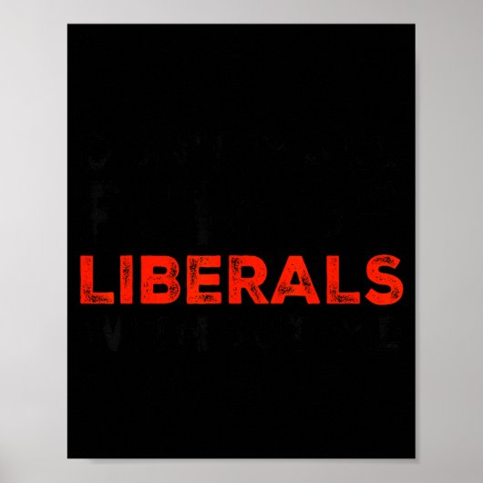 Don't Make Fun Of Liberals Without Me Funny Litica Poster (Voorkant)