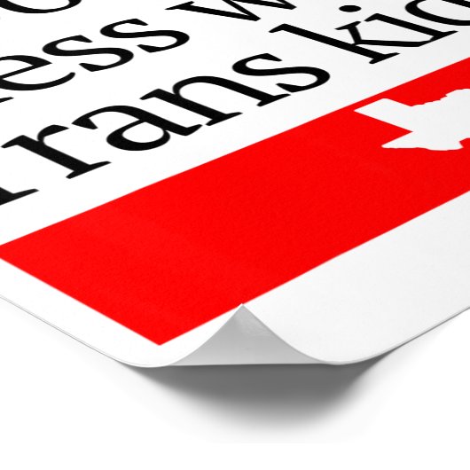 Don't Mess With Trans Kids Shirt Don't Mess With T Poster (Hoek)