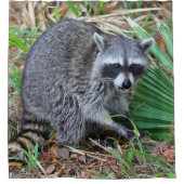 Don't Mind Me, Just Passing Through Douchegordijn (Voorkant)