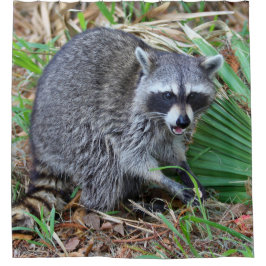 Don't Mind Me, Just Passing Through Douchegordijn