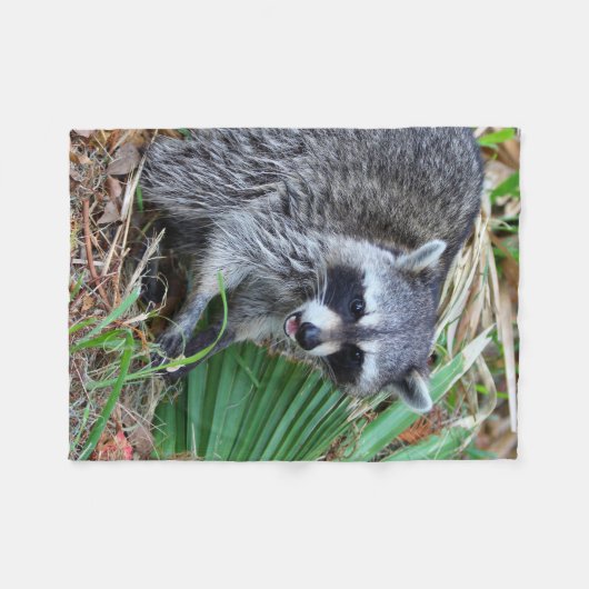 Don't Mind Me, Just Passing Through Fleece Deken (Voorkant (Horizontaal))