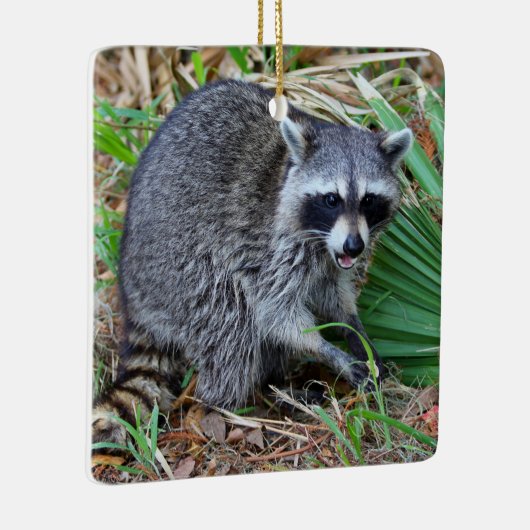 Don't Mind Me, Just Passing Through Keramisch Ornament (Rechts)