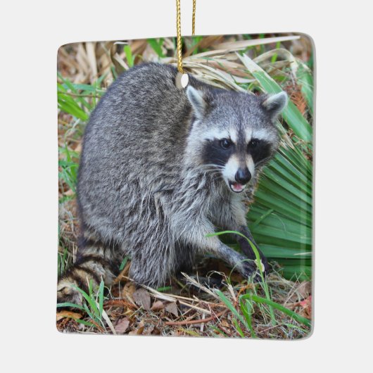 Don't Mind Me, Just Passing Through Keramisch Ornament (Links)