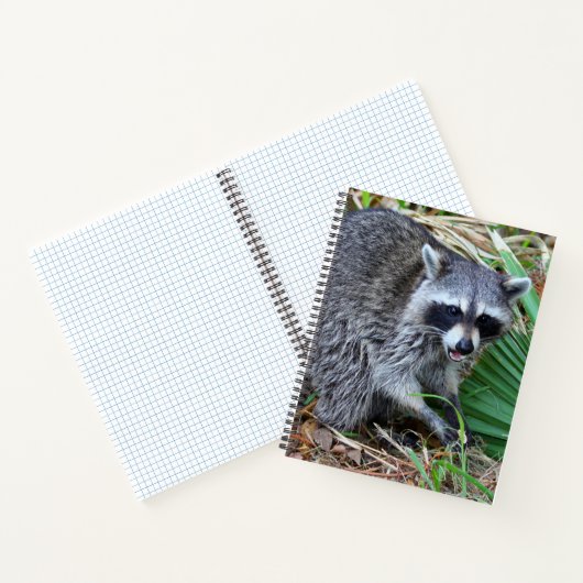 Don't Mind Me, Just Passing Through Notitieboek (Binnen)