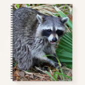 Don't Mind Me, Just Passing Through Notitieboek (Voorkant)