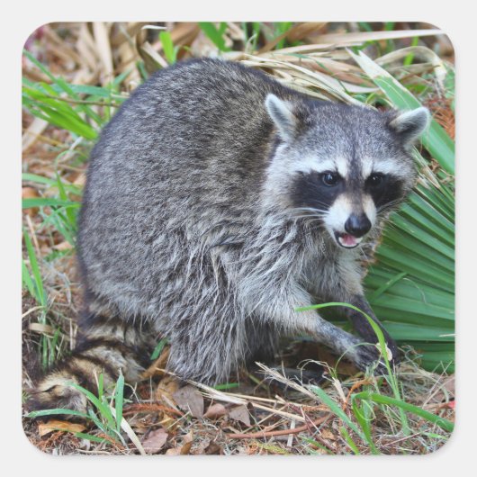 Don't Mind Me, Just Passing Through Vierkante Sticker (Voorkant)