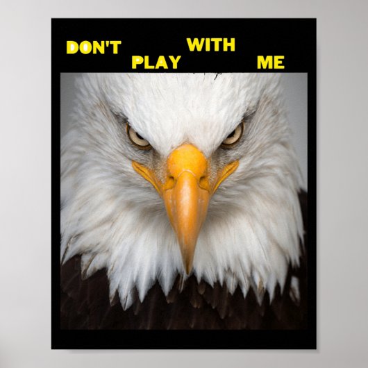 Dont Play With Angry Eagle Poster (Voorkant)