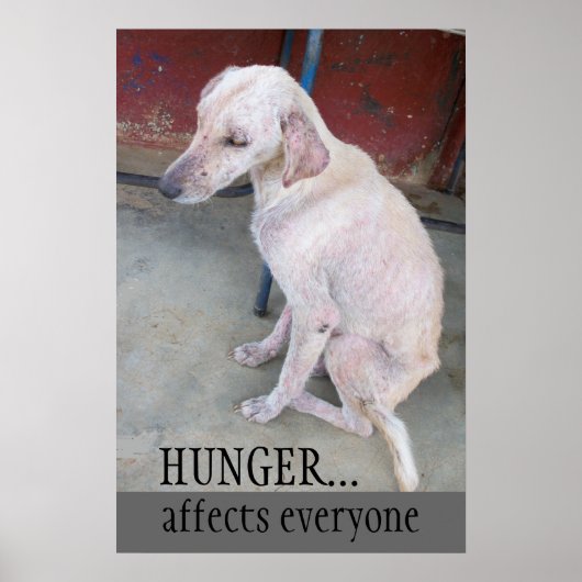 Dont Shop aannemen Poster (Voorkant)