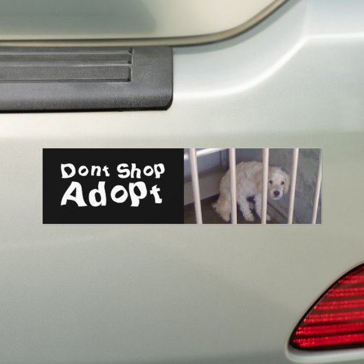Dont Shop Bumpersticker (Op auto)