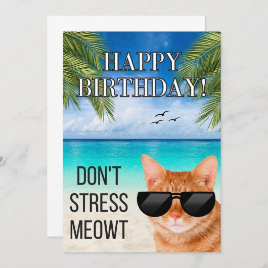 Dont Stress Meowt Grappige Tabby Kat Gelukkige Ver (Voorkant / Achterkant)