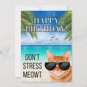 Dont Stress Meowt Grappige Tabby Kat Gelukkige Ver