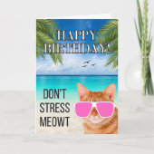 Dont Stress Meowt Grappige Tabby Kat Gelukkige Ver Kaart (Voorkant)