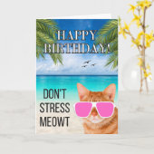 Dont Stress Meowt Grappige Tabby Kat Gelukkige Ver Kaart (Gele Bloem)
