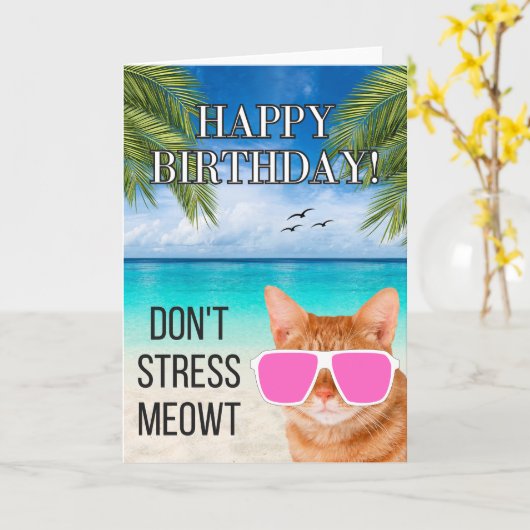Dont Stress Meowt Grappige Tabby Kat Gelukkige Ver Kaart (Gele Bloem)