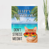 Dont Stress Meowt Grappige Tabby Kat Gelukkige Ver Kaart (Voorkant)