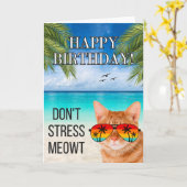 Dont Stress Meowt Grappige Tabby Kat Gelukkige Ver Kaart (Gele Bloem)