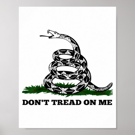 Don't Tread On Me 2nd Amendment Patriotic New Nove Poster (Voorkant)