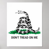 Dont Tread On Me  Poster (Voorkant)