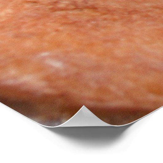 Donut Delight Poster (Hoek)