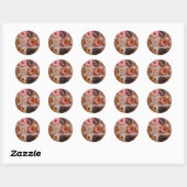 DONUTS! RONDE STICKER (Vel)