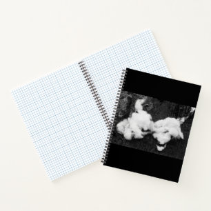donzige notebook naar beneden notitieboek