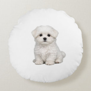 Donzige Witte Maltezer Puppy Portret Schattige Hon Rond Kussen