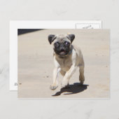 Doobie Runnin Briefkaart (Voorkant / Achterkant)