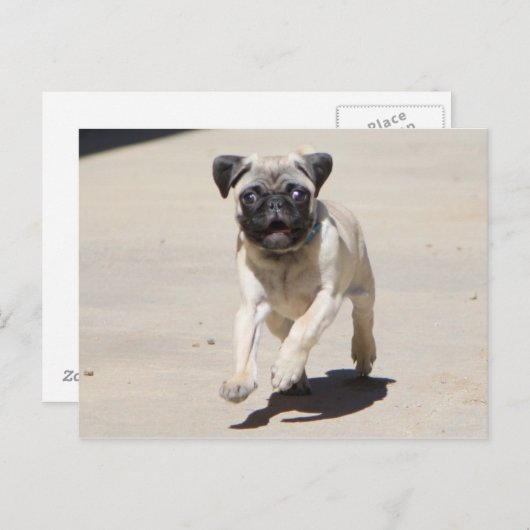 Doobie Runnin Briefkaart (Voorkant / Achterkant)