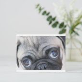 Doobie's ogen briefkaart (Staand voorkant)