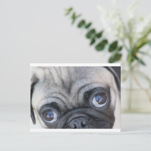 Doobie's ogen briefkaart (Staand voorkant)