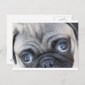 Doobie's ogen briefkaart (Voorkant / Achterkant)