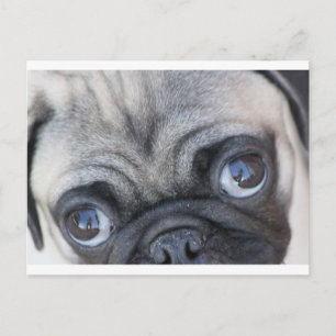 Doobie's ogen briefkaart