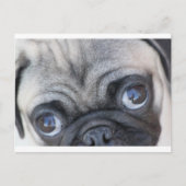 Doobie's ogen briefkaart (Voorkant)