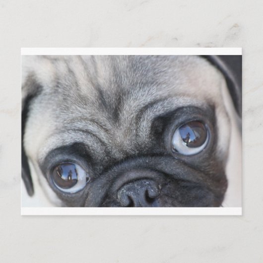 Doobie's ogen briefkaart (Voorkant)