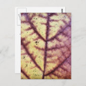 Dood Briefkaart van leder (Voorkant / Achterkant)