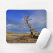 Dood Camel Thorn (Acacia Erioloba) - Boom Muismat (Met muis)