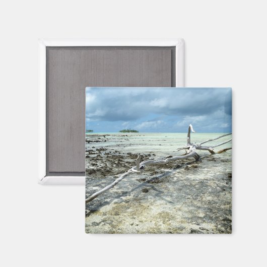 Dood hout in de Pacifische magneet (Voorkant / Achterkant)