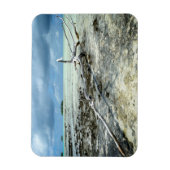 Dood hout in de Pacifische rechthoekige magneet (Verticaal)