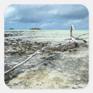 Dood hout in de Pacifische sticker