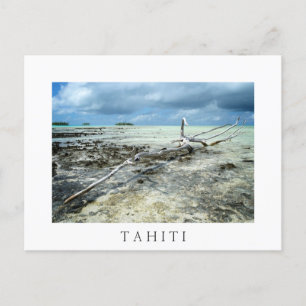 Dood hout in Tahiiti White text briefkaart