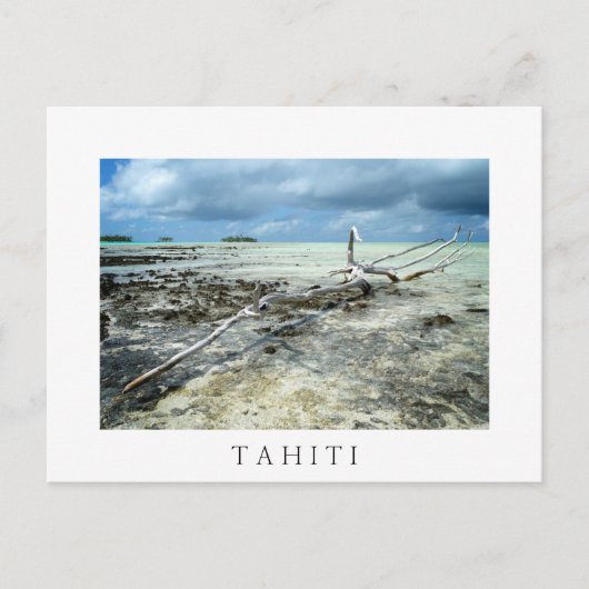 Dood hout in Tahiiti White text briefkaart (Voorkant)